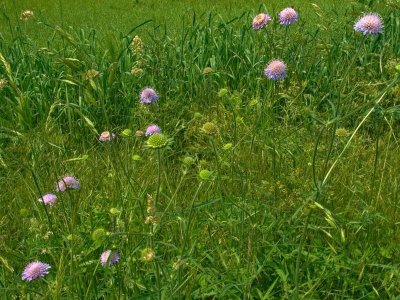La haute vallée de la Canner
