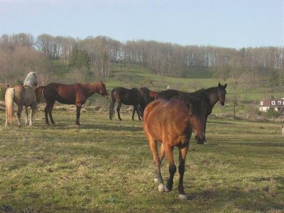 Circuit vélo - circuit des 4 vents