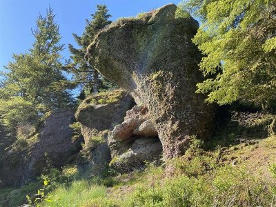 Randonnée - les poudingues et la roche tocquaine