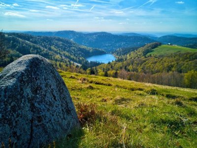 Le sentier des névés du hohneck au kastelberg