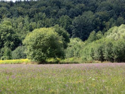 Circuit de la Rosselle