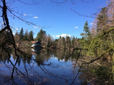 Randonnée de l'Étang Noir