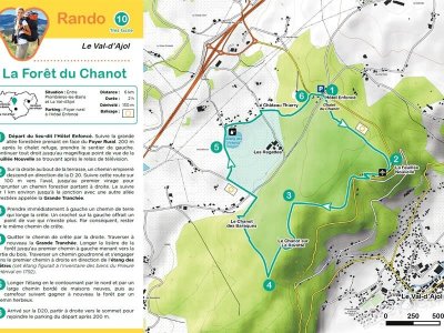 Randonnée - la forêt du chanot
