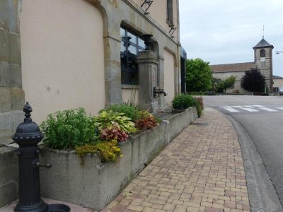 Sentier du GR 507 de Villers à Domjulien