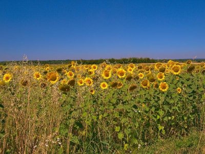 Liaison pédestre de Sanry-les-Vigy à la grande commune