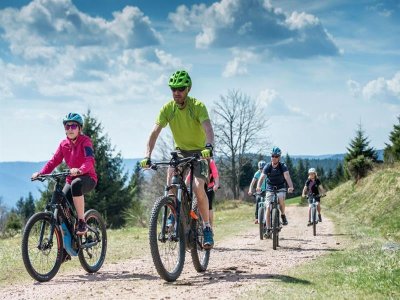 Circuit vtt n°1 (bleu) la Ronde Bruche