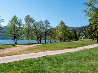 Balade poussette - L'estuaire Saint Jacques