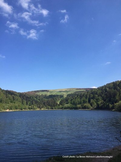Balade pédestre en passant par la lande à La Bresse