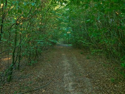 Les coteaux d'Albestroff