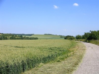 Circuit pédestre - sentier des rappes