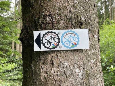 Circuit vtt Saint-Nabord - le slecard bleu