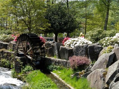 Circuit vtt AC7 vert - chemin des croix