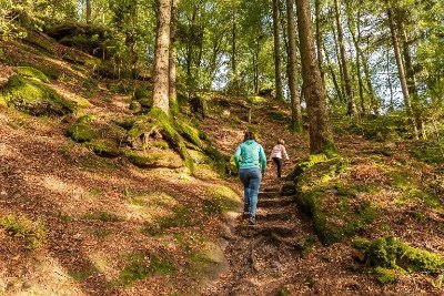 Circuit de la borne Saint-Martin