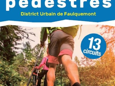 Circuit Faux en forêt
