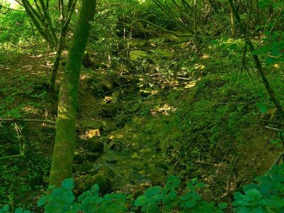 Circuit de Malbrouck en VTT (variante)