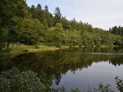 Randonnée - l'étang du villerain