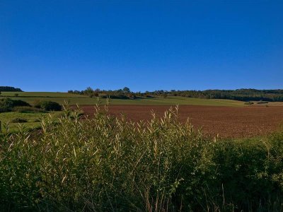Entre vergers et forêts