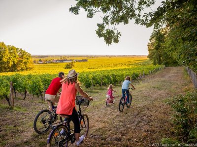 Grands crus et belles demeures - Circuit vélo n°23