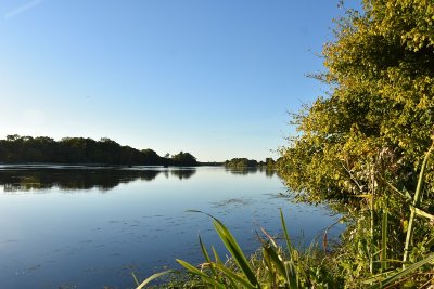 EV6 La Loire à Vélo - étape D02. Beaulieu-sur-Loire / Briare (par Ousson)