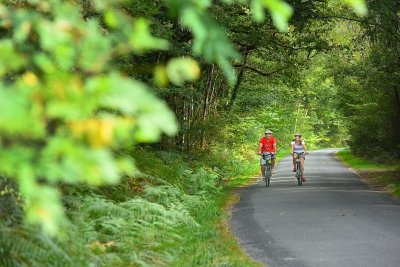Boucle 08 - Aux portes de la plus grande forêt domaniale de France