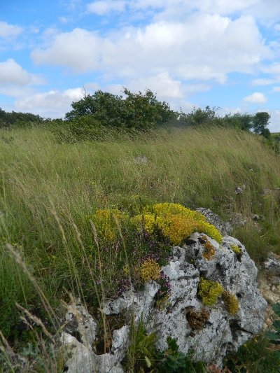 Circuit de la Réserve naturelle nationale des vallées de la Grand-Pierre et de Vitain