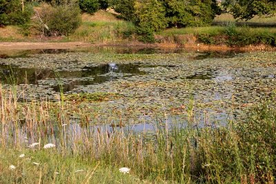 Le long du Bouzanteuil