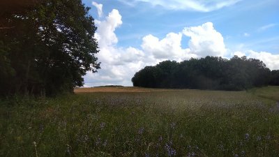 La vallée de Néron