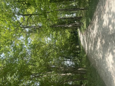 Le Chemin du Plessis