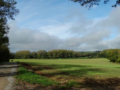 Base VTT sud du Perche - De châteaux en étangs par le chemin de César (rouge-33 Km) C5
