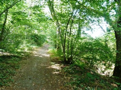 Circuit de Morchêne