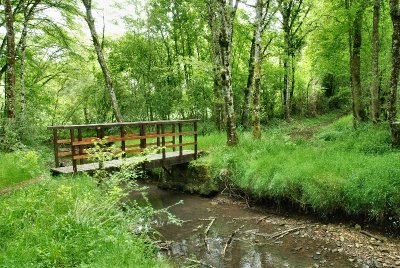 Circuit de la Chambonnaise