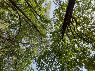Circuit du puits de l'Enfer