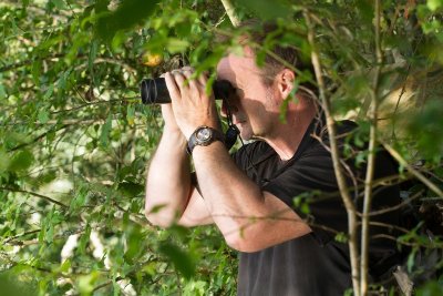 Balade à pied n°4 - Luxuriances marécageuses