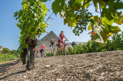 Entre Chinon et Candes-saint-Martin - Circuit n°38