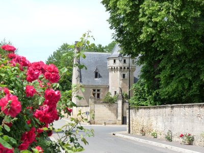 Le chemin de randonnée de Meillant à Tronçais