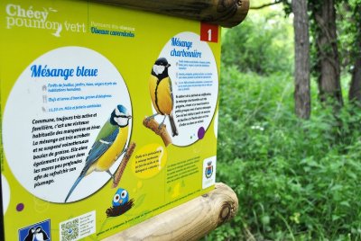 Parcours pédagogique des oiseaux