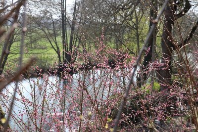 Le sentier de la petite Mauve et de la vallée du Rû