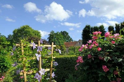 Chemin de l'Arboretum