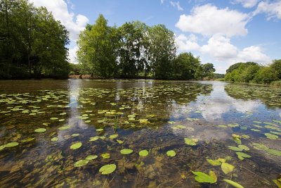 Balade à pied n°39 - Le val d'Anglin