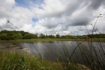 Balade à pied n°7 - Étangs, forêts et buttons