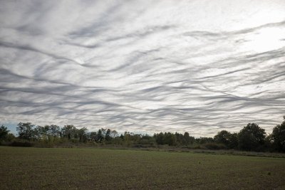 Balade à pied n°31 - De l'étang aux mares de Ratz