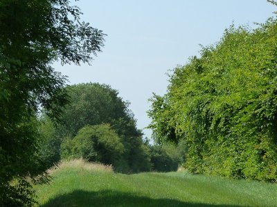 Le Bois de la Métairie