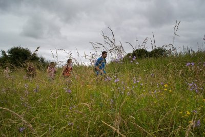 Balade à pied n°45- De vallons en brandes