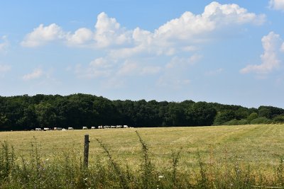Circuit de la Taille d'enfer