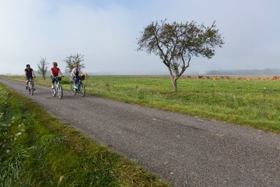 Itinéraire vélo n°12 - Balade champêtre en queue de Brenne