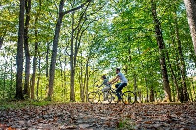 L’Âne et le roi, de l’étang du Pas-aux-Ânes à la Cité royale. Boucle vélo n°4