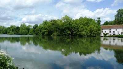 Les bords du Loiret