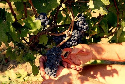 Le circuit de la Malandrerie