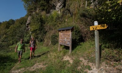 N°18 Trail d'Ourdinse