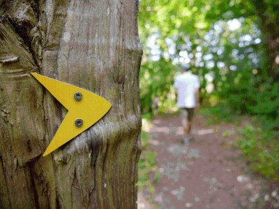 Parcours Tulle Nature : N°1 Stade de Trail